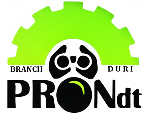 ProNdt duri